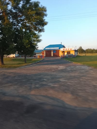 This image depicts a rural scene in Zhlobin, Belarus, at either sunrise or sunset, given the warm, low-angled light casting long shadows and illuminating the sky with a soft blue hue. The foreground is dominated by a paved or asphalted area, possibly a parking lot or roadway, showing signs of wear and tear with a slightly uneven texture. A large, mature tree with dark green foliage stands prominently on the left side of the image, its branches extending towards the sky.
In the middle ground, there's a small complex of buildings. The most prominent structure features a bright blue roof and a yellow-orange facade. A white sign with red Cyrillic lettering is attached to the front of this building. The lettering appears to read "ШИНЫ," which translates to "TIRES" in English, suggesting it might be a tire shop or service center. There's a small entrance with a canopy and some fencing with colorful elements in front of it. Adjacent to this, another building with a darker, possibly red, facade is visible.
Behind the buildings, a grassy field stretches out, dotted with trees in the distance, forming a treeline. A white van or bus is parked in the background near a fence. The overall impression is one of a quiet, possibly industrial or service-oriented area on the outskirts of a town, bathed in the gentle light of dawn or dusk. The scene conveys a sense of calm and rural simplicity.