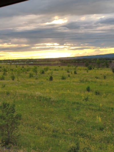 This is a vertical, eye-level, medium-shot photograph of a vast, green meadow under a cloudy sky at sunset. The sky is filled with layers of gray and white clouds, with streaks of bright yellow and orange light breaking through near the horizon, indicating the sun is setting. The top edge of the frame shows a dark, horizontal element, possibly a window frame or overhead structure.
The meadow is densely populated with various types of green grass and wildflowers in shades of yellow, purple, and white, creating a textured carpet across the landscape. Scattered throughout the field are small to medium-sized trees and bushes. In the mid-ground, a dark band of trees forms a distant tree line, and beyond that, a gentle hill or mountain range is visible, silhouetted against the glowing sky.
Further in the distance, along the horizon, there are signs of human infrastructure: tall power lines with crossbars and what appear to be multiple trucks lined up on a road. The overall environment is rural and natural, with a hint of industrial presence on the horizon. The image conveys a sense of open space and natural beauty at the close of day. This scene is located in the vicinity of Volsk, Russia.