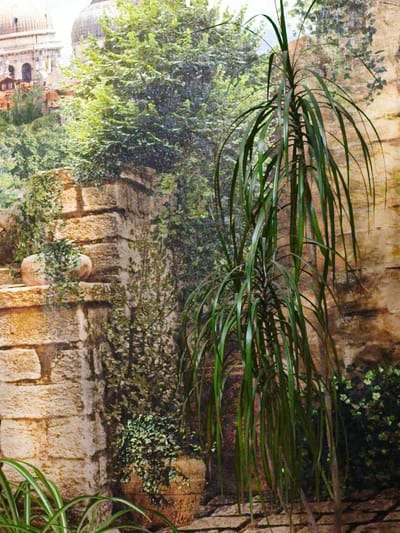 The image depicts a mural painted on a wall, creating an illusion of an outdoor scene. The mural features a stone structure with large blocks, overgrown with greenery. To the left, there are architectural elements resembling domes and buildings, suggesting a city landscape. A tall, slender plant with long, arching leaves is prominently positioned in the foreground, emerging from a pot. In the lower right, another potted plant with dense foliage is visible, and a portion of another plant with long, striped leaves is in the lower left corner. The overall impression is one of an ancient garden or courtyard. The prompt mentions Kotovsk, Russia, but the image itself does not provide any direct visual cues to confirm this specific location.