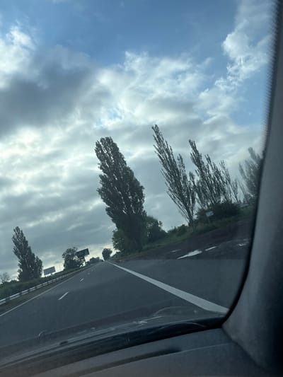 The image depicts a highway in Varser, Armenia, viewed from inside a vehicle. Tall, slender trees line the right side of the road, their branches reaching towards a cloudy sky. The road is wet, with puddles reflecting the overcast sky, suggesting recent rainfall. The sky is a mix of blues and grays, with clouds obscuring the sun. There are signs visible along the roadside. The perspective is from the driver's seat, looking forward. The overall scene conveys a sense of travel through a somewhat dreary, yet scenic, landscape.