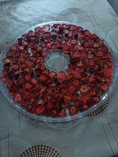 A clear plastic dehydrator tray is filled with dried strawberry slices. The tray is circular and has raised edges and a perforated surface for airflow. The strawberries are a deep red color, with some appearing more translucent than others, indicating they have been dehydrated. They are arranged in an even layer across the entire surface of the tray, with a circular opening in the center. The dehydrator tray rests on a beige tablecloth with a subtle patterned design. The image appears to be taken indoors. The specific location is Kniazhdvir, Ukraine.