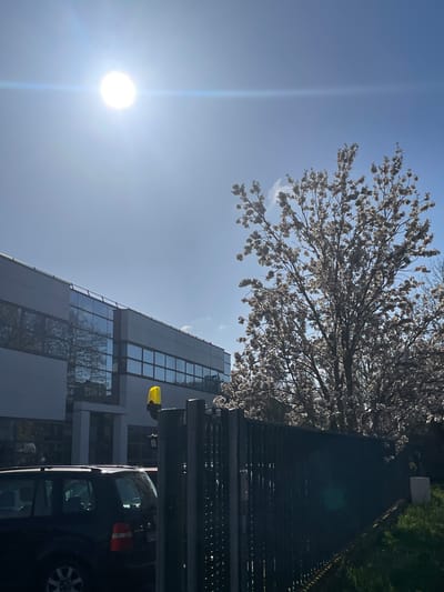 The image depicts an exterior scene in Montigny-le-Bretonneux, France, under bright daylight with a clear blue sky. A prominent sun is visible in the upper left quadrant, casting direct light and producing a lens flare across the frame.
On the left, a modern, multi-story building features a facade composed of reflective glass windows and light-colored paneling, reflecting portions of the sky and surrounding environment. Directly in front of this building, a dark-colored SUV or station wagon, possibly a Volkswagen Touran, is parked and partially visible from its rear and left side. Its roof rails and red tail lights are discernible.
A dark metal fence, likely a security barrier, extends across the lower and mid-ground, partially obscuring the view of the parked vehicle and the building. Mounted near the fence, in front of the building, is a yellow warning light or beacon.
Dominating the right side of the frame is a large deciduous tree in full bloom, covered in numerous small white or light pink flowers, suggesting spring. Behind the fence on the lower right, a patch of green grass is visible, along with a light grey, rectangular concrete block or post. No individuals or overt actions are depicted in the scene.