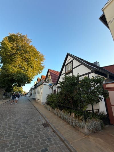 This image depicts a cobblestone street in Rostock, Germany, lined with traditional German houses. The houses feature white facades with dark timber framing and red tiled roofs, giving them a historic appearance. Lush green trees, including a large one with yellowing leaves, are present on the left side of the street, casting shadows on the cobblestones. Several people are visible walking along the street, appearing relaxed. One of the houses displays a ship's wheel emblem, suggesting a nautical theme possibly related to Rostock's port city status. The sky is a clear, bright blue, indicating fair weather. The scene appears to be set in a charming, well-preserved part of the city, likely a pedestrian area or a street with limited vehicle traffic.