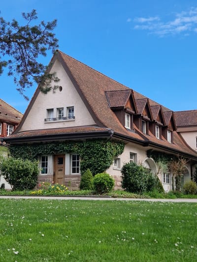 The image captures a section of a multi-story building in Rheinfelden, Switzerland, viewed from a low angle. The building has a steep, brown tiled roof with several dormer windows. The walls are light-colored, possibly stucco, and are partially covered in ivy. Windows are visible, some with decorative ironwork. A wooden door is also visible, surrounded by greenery. To the right of the building is a patch of green grass, appearing well-maintained with small white flowers. To the left, a tree with sparse branches is visible against a bright blue sky with light clouds. The image is oriented vertically, with the building leaning to the left.