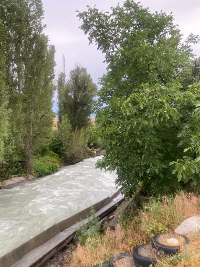 The image depicts a natural scene with a focus on a flowing body of water. The water, which appears white and turbulent, is contained within a concrete channel, suggesting it might be an irrigation canal or a similar watercourse. Tall, leafy green trees line the banks of the channel, providing shade and contributing to a lush, verdant atmosphere. Beyond the trees, a hint of a building or structure is visible in the distance, constructed from a light-colored material. The sky is overcast, suggesting a cloudy day. On the right side of the channel, dry, tall grass and a large rock are present, alongside two discarded tires. The overall impression is one of a rural or natural setting where water management infrastructure is integrated with the landscape. No people are visible in the image, and no text is present. The lighting suggests it is daytime.