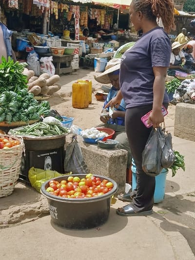 An outdoor market scene in Kadoma, Zimbabwe, is depicted under bright daylight. In the foreground, a woman with reddish-brown dreadlocks, wearing a dark blue t-shirt, black leggings, and black slide sandals, stands facing left. She holds a pink smartphone in her left hand and two black plastic shopping bags in her right hand. To her left, a large black plastic tub labeled "HAPPY BERRY" is filled with red and yellowish-green tomatoes. Adjacent to it, a white woven basket also contains tomatoes, and a tall black drum holds green okra pods. Bundles of green leafy vegetables are arranged nearby.

In the midground, a second woman, wearing a straw hat and a patterned blue top, is seated on a concrete block. She faces right and is actively engaged with a small red bowl containing white objects, possibly sorting or shelling them. Behind her, two yellow plastic jerry cans rest on the dirt ground. To the left of the seated woman, large elongated root vegetables, likely yams or cassava, are stacked, with white sacks of produce behind them.

The background reveals a bustling market environment with multiple stalls. An overhead canopy structure is visible, from which various small packaged goods hang. Shelves and tables are laden with additional products in sacks and bowls. A vertical red sign with "POS" is partially visible. The ground is a mix of packed earth and concrete, with shadows indicating direct sunlight. Several other individuals are present in the deeper background, engaging in market activities.