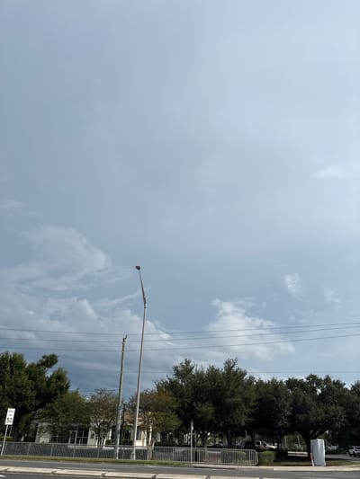 The image captures a street view with a slightly overcast sky in Bradenton, Florida, United States of America. In the foreground, a road is visible with a concrete median strip. A metal fence runs along the edge of the road, separating it from a grassy area with trees and buildings beyond. To the left, a "Speed Limit 50" sign is posted. A tall, slender light pole with a single lamp stands prominently in the middle ground, with another shorter utility pole behind it. The background features a row of lush green trees interspersed with light-colored buildings. The sky is mostly a uniform pale blue, with some wispy clouds, particularly on the left side, suggesting a possibility of changing weather. Power lines are strung horizontally across the upper portion of the scene. No people or active vehicles are clearly discernible.