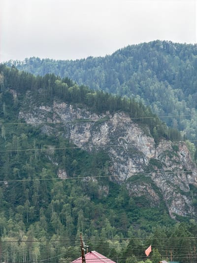 The image shows a vast, forested mountain range with rocky outcrops. The slopes are densely covered with a mix of coniferous and deciduous trees, giving the landscape a lush, green appearance. Several parallel power lines stretch across the lower half of the frame, intersecting the trees and rock faces. In the foreground, a red-roofed building is partially visible, along with utility poles. A small orange flag is also visible on a wire. The sky is overcast and gray. This scene is located in the village of Cheposh, Russia, a popular tourist destination in the Altai Mountains known for its natural beauty and outdoor recreational activities.