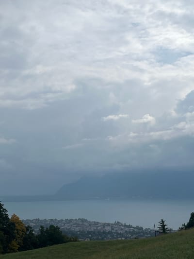 The image displays an elevated panoramic view from a grassy hillside in Jongny, Switzerland, overlooking Lake Geneva (Lac Léman) and a portion of the urban area of Vevey or Montreux along its northern shore. The upper two-thirds of the frame are dominated by a heavily overcast sky, characterized by dense, light to dark grey cloud formations and no visible direct sunlight. Below the sky, the calm, light blue-grey expanse of Lake Geneva stretches horizontally across the midground. Along the lake's immediate shoreline, a compact aggregation of buildings, indicative of an urban settlement, is discernible. Distant, hazy, dark blue-grey mountains are silhouetted across the lake, partially obscured by atmospheric conditions. The immediate foreground consists of a green grassy slope. On the left, dark green deciduous trees with some visible yellow foliage partially frame the view. A single dark green coniferous tree is present on the right side of the slope. No human figures or discernible activities are depicted.