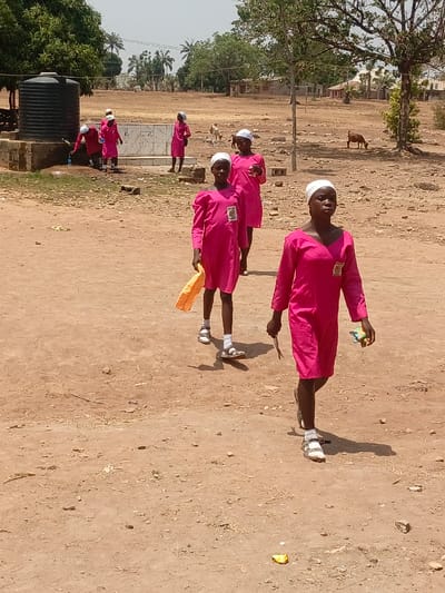 This image captures an outdoor scene in Mada, Nigeria, under a clear sky. The ground is composed of dry, reddish-brown earth with sparse grass and scattered small stones. At least seven young females, appearing to be children or adolescents, are depicted, all wearing identical long-sleeved bright pink dresses with white head coverings; several dresses bear an emblem on the left chest. In the foreground, two girls walk towards the left; the leading girl on the right holds a dark, narrow object in her right hand and a colorful, crumpled object in her left, while the girl behind her holds a crumpled yellow bag or cloth. Both foreground girls wear white socks and sandals. In the mid-ground, approximately three to four girls are gathered around a water supply station consisting of a large black corrugated plastic water tank on a concrete base with a spigot, next to a white-tiled concrete basin. One girl is actively filling a blue bottle from the tank's spigot. In the background, two brown goats are visible on the dry terrain. The environment features scattered trees with green foliage, distant palm trees, and several low-rise buildings on the horizon.