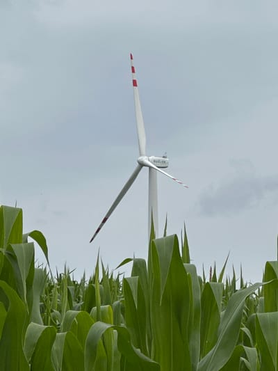 The image shows a wind turbine situated in a field of tall green corn stalks in Kolubaivtsi, Ukraine. The wind turbine is white with red accents on its blades and has the brand name "SUZLON" visible on its nacelle. The sky is overcast with gray clouds. The foreground is dominated by the lush green corn plants, some of which are in focus, while others are blurred.