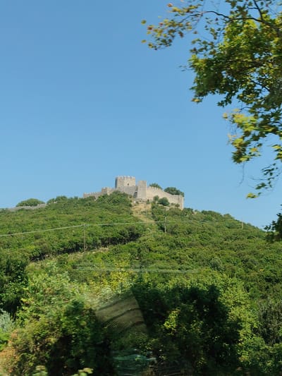 A castle ruin sits atop a lush green hill under a clear blue sky. The stone structure features crenellated walls and a circular tower, suggesting historical significance. The hill is densely covered with trees and vegetation, with some bare patches of earth visible on the slope. In the foreground, the tops of more trees are visible, along with some power lines and a utility pole. The branches of a tree with green and yellowish leaves are also visible in the upper right corner of the frame, partially obscuring the sky. The image appears to have been taken from a moving vehicle, as evidenced by the slight blur in the foreground foliage. The castle is located in Neos Panteleimonas, Greece, and is known as Platamon Castle.