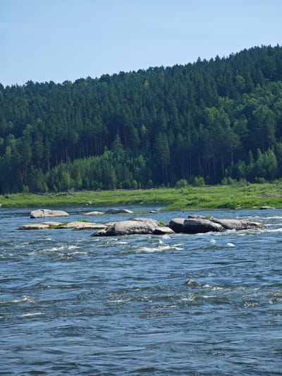The image depicts a wide, fast-flowing river with rocky outcrops partially submerged in the water. The river occupies the foreground and midground of the scene. In the background, a dense forest of coniferous trees covers a hillside that slopes upwards towards a clear, pale blue sky. The forest appears lush and green, with visible tree trunks in places. The shoreline between the river and the forest is characterized by a band of green grass. The overall impression is one of a natural, undeveloped landscape. The location is identified as Porog, Russia.
