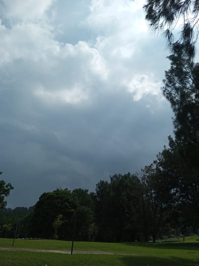 The scene is an outdoor landscape under a predominantly overcast sky, located in New Serchhip, India. The sky occupies the upper two-thirds of the frame, characterized by dense, dark grey cloud cover, indicating impending weather. A brighter area of sky with partially obscured sunlight is visible in the upper right. Silhouetted, dark green foliage from a coniferous tree extends into the frame from the upper right. The lower third features a wide expanse of green lawn, traversed by a lighter dirt path in the foreground. Several dark, slender poles are vertically placed within the grassy area. A dense line of dark green trees forms the horizon in the mid-ground. There are no people, animals, or specific activities visible in the image.