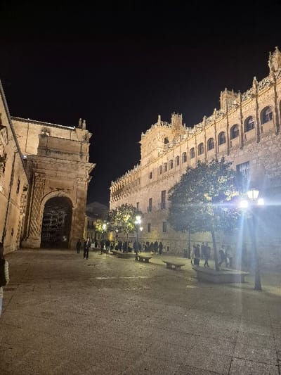 The image displays a nighttime scene within the Plaza de Monterrey in Salamanca, Spain. The foreground features a large, paved stone plaza, illuminated by artificial lighting from multiple streetlights.

On the right side of the image, the multi-story Palacio de Monterrey is prominent, characterized by its ornate Renaissance architectural style, featuring numerous arched windows across several levels and an intricately sculpted parapet. This building is illuminated by warm, artificial light, highlighting its detailed stonework.

On the left side of the image, a robust, light-colored stone archway is visible, likely part of the Convento de San Esteban complex. A large, dark, grilled gate is set within this archway.

In the middle ground of the plaza, several small, leafy trees are interspersed, also illuminated by streetlights, which create areas of light and shadow. Multiple stone benches without backs are situated in various positions on the plaza.

Numerous individuals are present in the middle ground, appearing as indistinct figures due to distance and lighting conditions. They are primarily grouped along the right side of the plaza, near the base of the Palacio de Monterrey, engaged in walking or standing. A few additional figures are visible near the archway on the left.

The scene is lit by multiple tall streetlights with spherical globes, one of which in the lower right foreground emits a distinct lens flare. The sky above is dark, indicating night. A partial human figure is visible in the extreme lower-left corner of the frame.