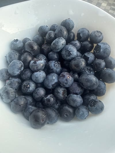 This media file is a close-up, overhead shot of a white bowl filled with fresh blueberries. The scene is brightly lit, suggesting it was taken during the daytime. The blueberries are a deep blue-purple color, and many of them have small water droplets on their surface, indicating they may have been recently washed. They are piled loosely in the bowl, with some blueberries overlapping others.
The focus is entirely on the fruit, with the white of the bowl providing a clean background that makes the berries stand out. The texture of the blueberries appears smooth, with slight indentations and the characteristic bloom of fresh fruit. The composition is simple and direct, showcasing the natural beauty of the blueberries. There is no visible text in the image.
Given the location context of Chakvi, Georgia, the image likely depicts blueberries that are locally grown or sourced, possibly from a market or a home setting. The overall impression is one of freshness and abundance. The image does not show any people or specific environmental details that would indicate the time of day or weather beyond general brightness. The setting is confined to the bowl of blueberries.
