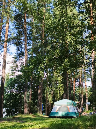 The image depicts a camping scene set in a dense forest, likely within or near Nepryakhinskoye Sel'skoye Poseleniye, Russia. A green and white tent with orange accents is pitched on a grassy area, partially shaded by tall pine trees. The ground is covered with a mix of grass and pine needles. The background is dominated by the forest canopy, with sunlight filtering through the leaves, creating dappled light and shadow patterns. The sky is visible through gaps in the trees and appears to be a clear blue. There are no people visible in the immediate vicinity of the tent, though a few items of camping gear, including chairs and possibly a cooler, are present to the right of the tent. A blue tarp or piece of clothing is hanging from a tree in the background. The overall impression is one of a tranquil, secluded natural setting for outdoor recreation.
