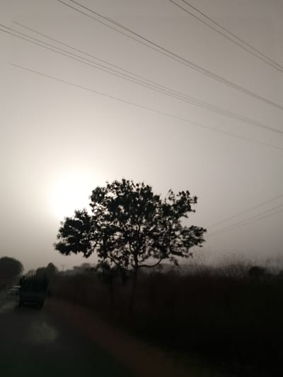 The image depicts a rural or semi-rural roadside scene in Mangu Halle, Nigeria, at either dawn or dusk. The sky, occupying the upper two-thirds of the frame, is a light grey, hazy expanse, traversed diagonally by approximately seven parallel utility lines. A strong, diffuse white light source, characteristic of a low sun, is positioned on the left horizon, partially obscured by a large, dark-silhouetted tree with a full canopy, located slightly left of the image center. To the right of this tree, dense, dark vegetation or tall grass occupies the mid-ground. In the lower-left quadrant, a dark, potentially wet, paved road is visible, extending diagonally into the mid-left background. A dark-colored truck, possibly a cargo vehicle, is present on the road in the mid-left, partially blurred, suggesting movement. Indistinct shapes of additional vehicles are visible further down the road behind the truck. The scene is characterized by strong contrasts between light and shadow, with elements in the foreground and mid-ground appearing as dark silhouettes against the brighter sky.