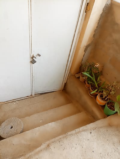 A ground-level view looking up a set of outdoor concrete stairs towards a closed, white metal door with a partially open padlock. To the right of the stairs, on the wall, are several potted plants in various containers. A circular, weathered stone object sits on the bottom step to the left. The environment appears to be an exterior of a building, possibly a home or storage area, with textured walls and a worn appearance. There are no people visible in the image. The location is specified as Aygezard, Armenia.