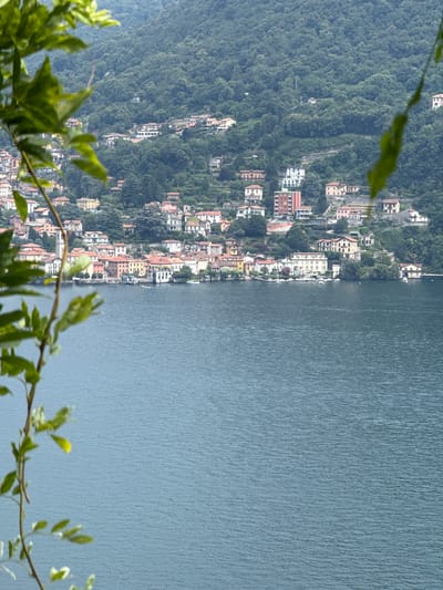 This image captures a picturesque view of a lakeside town nestled at the foot of a lush, tree-covered mountain. The town, identified as Moltrasio, Italy, is characterized by its densely packed buildings with terracotta roofs, lining the steep hillside that slopes down to the water's edge. The architecture appears traditional, with many multi-story structures clustered together.

The scene is divided by the striking contrast between the verdant mountainside and the calm, expansive body of water. The water, likely Lake Como given the location context, fills the right half of the frame with its rippling, slate-blue surface. The water's texture suggests a gentle breeze.

The time of day appears to be daytime, with soft, diffused light suggesting it might be overcast or late afternoon, as there are no harsh shadows. The weather seems pleasant and mild, conducive to the lush greenery covering the mountain.

In the foreground, out-of-focus green foliage partially frames the lower part of the image, adding depth and a sense of natural beauty to the composition. There are no visible people or specific activities taking place, contributing to a tranquil, almost serene atmosphere. The focus is on the harmonious blend of natural landscape and human settlement.