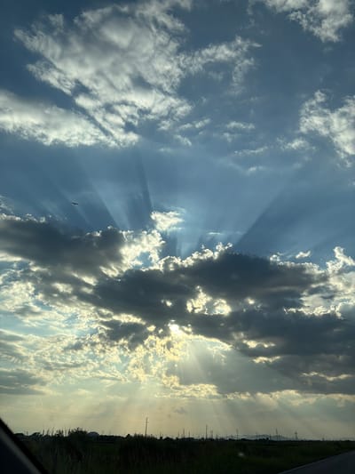 The image captures a dramatic sky over Saedinenie, Bulgaria. Dark, heavy clouds dominate the lower portion of the frame, with shafts of sunlight piercing through them, creating a crepuscular ray effect. These rays fan out across the sky, illuminating parts of the clouds and the blue sky beyond. In the upper part of the image, lighter, wispy clouds are scattered across the expanse of blue. A small, dark silhouette of a bird is visible in flight, positioned to the left of the center of the image, within one of the sunbeams. The bottom of the image shows a dark silhouetted landscape with hints of green vegetation, likely fields or grass, and distant utility poles or structures. The overall impression is one of dynamic weather conditions with a striking interplay of light and shadow in the sky.