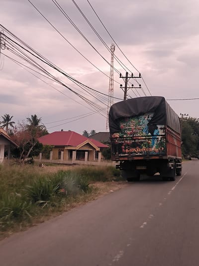 The image captures a rural or semi-urban street scene in Keudetanjong, Indonesia, under an overcast sky. A large cargo truck, covered with a dark tarpaulin, is the most prominent subject, seen from behind as it travels or is parked on the right side of an asphalt road.
The back of the truck is elaborately decorated with vibrant artwork and text. The artwork features what appears to be a person or figure alongside depictions of fruit, possibly apples or oranges, against a colorful background. To the left of the road, houses with red and light brown roofs are visible, surrounded by fences, trees, and lush green grass. Palm trees are scattered throughout the background, indicating a tropical climate.
Above the houses and truck, numerous utility cables crisscross the frame, emanating from a wooden power pole. A tall, modern telecommunication tower can be seen in the distant background, contrasting with the more traditional elements. The sky is filled with pale, diffused clouds, suggesting either an early morning, late afternoon, or an overall cloudy day. The foreground features wild grass along the roadside, slightly blurred, which could indicate motion blur from the camera or vehicle.
Visible text on the back of the truck includes an Indonesian phrase: "Tidak Peduli Seberapa Lambat Kamu Pergi Asal Kamu Tidak Berhenti" (Doesn't matter how slow you go as long as you don't stop). Other text includes "MARCELLO," "Gini Suka," and "MAMA TENGAH MURINA." The truck's license plate, "BG 9039 MA," is also clearly visible.