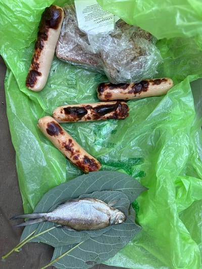 This image depicts a casual outdoor scene, likely a picnic or a simple meal preparation, on the ground in the vicinity of Трасцінскі сельскі Савет, Belarus. The primary elements are food items laid out on a crumpled, bright green plastic bag and some large leaves.
Central to the image are four grilled sausages, showing distinct char marks from cooking. These sausages are of a light beige color with dark brown to black portions where they have been exposed to heat. Beside them, partially obscured by a plastic wrapper, is a slice of bread, appearing to be rye or dark whole wheat. A piece of paper with Cyrillic writing is also visible near the bread, suggesting packaging or labeling.
In the lower portion of the frame, a dried fish lies on top of two large, veined green leaves. The fish is silver-toned and appears to be small, likely intended as a snack or accompaniment. Two thin, dry twigs or stems are also present, resting near the fish and leaves. The background is a dark, textured surface, possibly dirt or pavement, indicative of an outdoor setting. The overall impression is one of a rustic, informal meal, possibly in a park or a natural area within the specified location. There are no people or animals visibly present in the image.