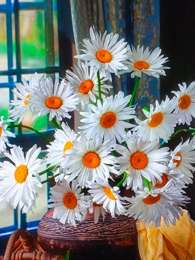 A vibrant image showcases a bouquet of white daisies with orange centers, densely arranged in a brown vase. The vase features horizontal textured lines. Behind the flowers, a window with blue panes offers a glimpse of greenery. A curtain partially frames the background. A piece of yellow fabric drapes near the vase. The lighting accentuates the bright colors of the flowers and the contrasting dark tones of the vase and surrounding objects.