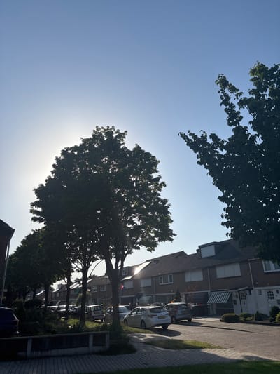 The image depicts a street in Enschede, Netherlands, bathed in the warm light of the sun, which is positioned high in the clear blue sky, creating a slight lens flare. The scene is lined with typical Dutch terraced houses, characterized by their brick facades and pitched roofs. Many of the houses feature light-colored window frames and some have awnings over their doors or windows. Several cars are parked along the street, including a white hatchback and a silver compact car. Trees with lush green foliage line the street and extend into the foreground, some casting shadows on the paved sidewalk and road. The area appears to be a residential neighborhood, with a quiet and orderly atmosphere. Small, manicured bushes and low walls are visible in front of some of the properties, suggesting well-maintained gardens. The overall impression is one of a peaceful, sunny day in a suburban Dutch setting.