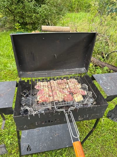 The image shows a black metal barbecue grill with raw meat on a rack, positioned outdoors on a grassy area. The grill has a lid that is propped open, revealing a wire rack filled with marinated meat pieces. Below the rack, glowing embers and ashes are visible in the bottom of the grill. The surrounding environment consists of green grass, bushes, and tall weeds, suggesting a natural or semi-rural setting. There are no people visible in the image. The scene appears to be in Подолино Ст, Russia, as indicated by the location provided.