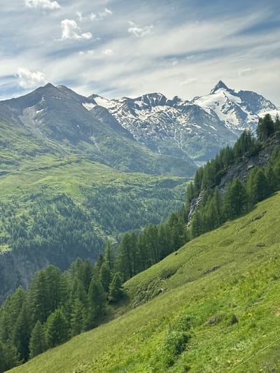 This is a vertical, eye-level, medium shot of a mountainous landscape in Heiligenblut am Großglockner, Austria. In the foreground, a steep, grassy slope descends from the right to the left. The grass is a vibrant green, with patches of yellow wildflowers scattered throughout. A dense forest of tall, green conifer trees lines the mid-ground on the left, growing on a rocky incline that separates the foreground from the valley beyond. The valley itself is filled with more conifer trees, creating a deep green carpet that stretches towards the background. Towering snow-capped mountains dominate the upper portion of the image. The peaks are jagged and rugged, with patches of snow clinging to their upper slopes. The sky above is a pale blue, streaked with wispy white clouds. The overall scene is one of natural beauty and grandeur, with a sense of vastness and isolation.