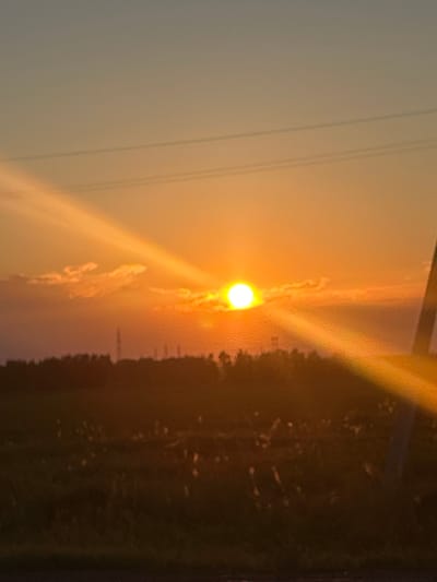 The image displays a vibrant sunset or sunrise over a landscape in Rassvet, Russia. The bright, circular sun is the dominant subject, positioned centrally and casting intense golden-orange light across the sky, accompanied by prominent lens flares. The sky above is a gradient, transitioning from a brilliant orange and yellow near the sun to a softer, desaturated grayish-brown further afield.
Below the sun, a dark, silhouetted horizon line stretches across the lower portion of the frame, likely depicting distant land, trees, or fields, with details obscured by the backlighting and atmospheric conditions. Several thin, dark power lines or utility wires are visible in the upper-left quadrant, cutting diagonally across the sky, suggesting the presence of human infrastructure in the otherwise natural setting.
No specific activity or event is taking place beyond the natural phenomenon of a sunset or sunrise. The time of day is clearly either dusk or dawn, indicated by the sun's position and the dramatic, warm color palette. The weather appears clear, enhancing the sun's glow and lens effects. There are no people visible, nor any discernible text in the image. The scene conveys a sense of peaceful natural beauty.