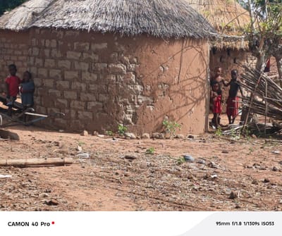 The image depicts a village scene in Wase, Nigeria. Two thatched-roof mud huts are visible, one constructed of rough-hewn blocks, the other of smooth adobe. Three children are visible near the second hut. One child is unclothed. The other two wear red clothing. Two other children are near the first hut. One wears a red shirt, the other a gray or blue shirt. The ground is dirt and debris. A broken wooden cart sits at the base of the first hut. A fence made of tree branches is present to the right of the second hut. The environment is dry and dusty.