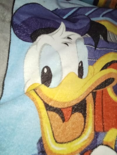 The image displays a close-up of a plush textile, likely a blanket, featuring a prominent, colorized graphic of the cartoon character Donald Duck. The character is depicted from the upper torso, facing forward, with white feathers, a yellow-orange bill opened to reveal a red tongue, black pupils within white eyes, and black eyebrows. He wears a blue sailor hat with a black brim and a thin light blue stripe, and part of a red garment with a blue collar is visible on his right side. The textile itself is predominantly light blue around the character's head. The scene is static, with no human subjects, actions, or interactions depicted. This scene is located in Umsobomvu Local Municipality, South Africa.