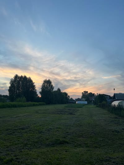 This is a medium shot, eye-level, vertical photograph of a rural landscape at dusk, taken in Zuevo, Russia. The sky occupies the upper half of the frame and is a gradient of light blue to pale orange and pink, with wispy white clouds scattered across it. The lower half of the image shows a mowed grassy field. In the mid-ground, a line of silhouetted trees runs horizontally across the frame, with two large, rounded trees standing out in the center-left. Beyond the trees, several houses with dark roofs are visible, interspersed with more trees and vegetation. A greenhouse with a white plastic cover is also visible on the right side of the frame. A fence made of wooden posts and wire runs along the right edge of the field. The overall impression is one of a quiet, rural evening.