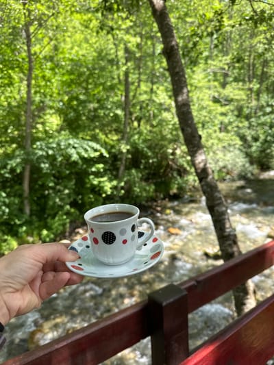 A hand holds a white coffee cup with a saucer, both decorated with a pattern of black, red, and grey polka dots. The cup contains dark coffee. In the background, a natural scene unfolds with lush green trees and foliage, suggesting a forest or wooded area. A body of water, possibly a stream or river, flows through the scene, with visible rocks and ripples. A wooden railing, painted red, runs horizontally across the lower part of the image, in front of the water. The overall impression is one of a peaceful moment in nature, potentially enjoyed from a scenic vantage point. The location appears to be in the vicinity of the Bare Kraljske region of Montenegro, known for its natural beauty.