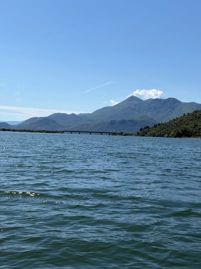 The image displays a wide-angle landscape featuring a large body of water, presumed to be a lake, situated in the area of Kruševica, Montenegro. The foreground and mid-ground are occupied by the water, which exhibits a dark blue-green hue with discernible ripples and small waves. Numerous small, bright reflections of sunlight are visible across the water's surface, indicating clear, sunny conditions. In the mid-ground, a long, dark-colored bridge, characterized by multiple spans, crosses the water, connecting forested landmasses. The background is dominated by a range of mountains, which are densely covered in green vegetation. Several mountain peaks are visible, with a notable white cumulus cloud positioned directly above one of the central peaks. The sky overhead is a uniform light blue, featuring a few faint, white contrails. No individuals, animals, or specific human activities are observable within the frame.