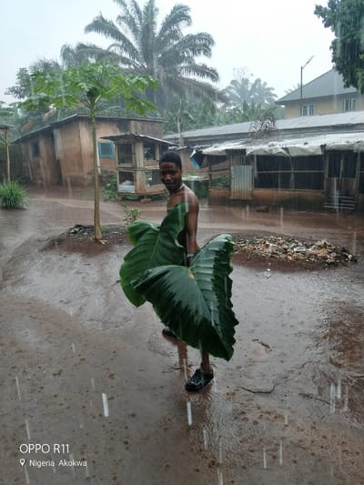 A young Black person stands in the rain, holding large green leaves over their head. The person is wearing a dark shirt, dark shorts, and black shoes. They are looking at the camera with a neutral expression. The ground is wet and muddy, with puddles of water. There are several buildings in the background, some of which appear to be houses or shops. There is also a pile of trash in the middle ground. The scene is set in Akokwa, Nigeria, as indicated by the "OPPO R11 Nigeria Akokwa" watermark in the lower-left corner of the image. The weather is overcast and it is raining heavily.
