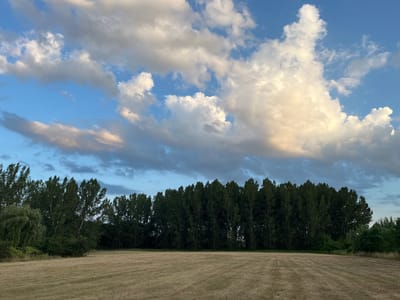 The image depicts a landscape scene under a cloudy sky. In the foreground, a mowed field of dry grass with visible rows stretches across the frame. A dense line of tall, dark green trees forms the midground, bordering the field. The sky above is a mix of blue and large, fluffy white and grey clouds, some illuminated by sunlight, suggesting it is either sunrise or sunset. The location is identified as Nyíregyháza, Hungary. There are no people or specific objects visible beyond the natural elements of the landscape.
