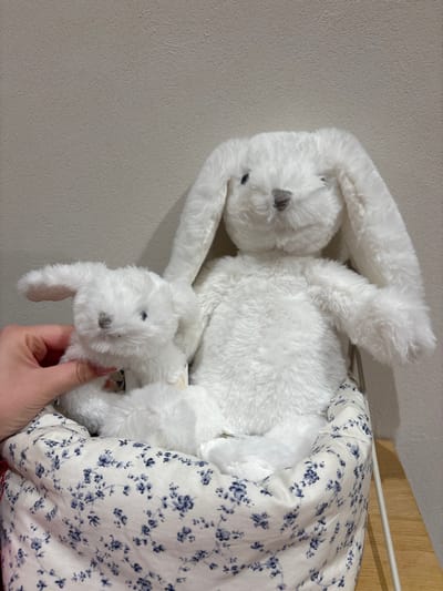 The scene depicts two white plush rabbit toys positioned within a fabric-lined storage container, located indoors in Leganés, Spain. A larger white rabbit, characterized by long floppy ears and a grey nose, sits upright, facing forward. To its left, a smaller, similarly designed white rabbit is held by a human hand. The hand, with fair skin, grasps the smaller rabbit's torso, positioning it beside the larger toy. Both rabbits exhibit dark, bead-like eyes and soft, fuzzy texture.

The container is a cylindrical or basket-like object, lined with a white fabric featuring a pattern of small blue floral clusters and green leaves. This container rests on an unidentified surface, partially visible as a light wooden plank on the far right. A thin, white vertical metal bar is also visible on the right, suggesting part of a shelf unit or stand. The background consists of a uniformly textured, light off-white wall. No other individuals or significant objects are discernible in the immediate vicinity.