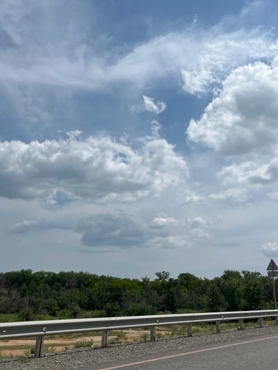 The image captures a landscape scene, likely near Novokucherganovka, Russia. The sky is filled with a mix of white and gray clouds against a pale blue backdrop. In the midground, a dense line of green trees stretches across the horizon, with varying shades indicating different types of foliage and possibly some dry or dead branches interspersed. In the foreground, a grey metal guardrail runs horizontally, supported by posts. Beyond the guardrail, there is a strip of dry, sandy ground with sparse vegetation. The road surface is visible at the bottom edge of the frame, appearing to be asphalt with a subtle red line marking. A triangular road sign is partially visible on the right side of the image, perched on a post. The overall impression is of a roadside view in a natural setting under a cloudy sky.