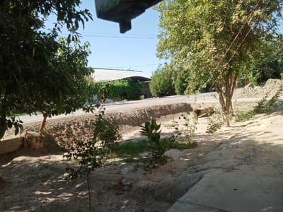 The image depicts an outdoor scene in Karagana, Uzbekistan, under a clear blue sky. In the foreground, there is dry, cracked earth with sparse green vegetation. Several young trees are scattered across the landscape. To the left, a large, leafy tree casts a shadow. In the middle ground, a dirt road runs horizontally. Beyond the road, a long, low building with a corrugated metal roof is visible, partially obscured by trees and bushes. Two individuals are seated near the building, one appearing to be a man. The environment suggests a rural or semi-rural setting within the city.