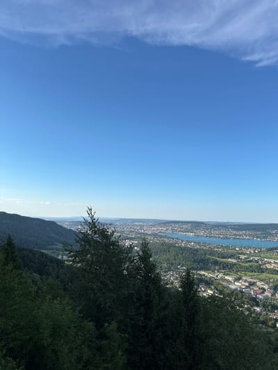 A high-angle shot captures a panoramic view of Adliswil, Switzerland, a city nestled alongside a large, blue lake under a clear sky. The foreground is dominated by dense, dark green foliage of trees, some of which partially obscure the view of the city below. The city itself is a sprawl of buildings, ranging from dense urban areas to more spread-out residential zones, all situated along the shore of the lake. Numerous sailboats are visible on the water, suggesting a leisurely day. Beyond the city and lake, the landscape transitions to rolling hills and a hazy horizon. The sky is a vibrant, cloudless blue, with only a few wisps of white clouds near the top of the frame. The overall impression is one of a serene, expansive urban landscape integrated with natural beauty.