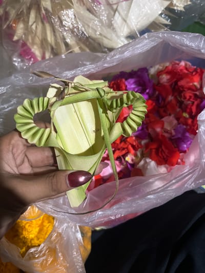 In a close-up, top-down shot, a person's hand, with dark skin and a burgundy, shimmery fingernail, holds a small, intricately folded palm leaf creation. The object is green and appears to be a decorative item, possibly for an offering. Behind it, a clear plastic bag is filled with an assortment of colorful flower petals, predominantly red, purple, and white. Another plastic bag below contains bright yellow marigold flowers. The background is blurred, but hints of dried palm leaves or straw-like decorations are visible at the top. The scene suggests a setting related to cultural or religious preparations, likely in Mendoyo, Indonesia, given the common use of such materials in Balinese traditions.