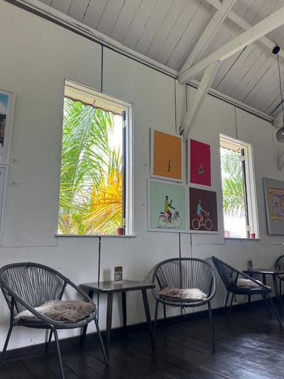 The image depicts the interior of The Hub, a cafe and art gallery located in Ocho Rios, Jamaica. The room features white painted walls and a white-painted vaulted ceiling with exposed wooden beams and rafters. A dark-stained wooden floor is present throughout the space. Two large, rectangular, unglazed windows provide views of lush green and yellow tropical foliage, likely palm fronds, outside. Small brown potted plants are placed on both window sills.
Four framed art prints are displayed on the central wall between the windows. The top row includes a vertical orange print featuring a small standing figure and a vertical magenta print depicting a small figure on a bicycle. The bottom row presents two square prints: a light green one with a figure on a bicycle, and a dark brown one also with a figure on a bicycle. Small white labels are affixed below some of the artworks. Portions of additional framed artwork are visible on the left and right walls.
The foreground contains three black, open-weave lounge chairs, each furnished with a light brown, shaggy cushion. Two square, dark-toned wooden tables with splayed legs are positioned among the chairs; a small, upright display stand is visible on the table to the left. Dark electrical conduits run along the white walls and ceiling beams. An overhead light fixture with a translucent shade is suspended from the ceiling in the upper right. No individuals are present in the scene.