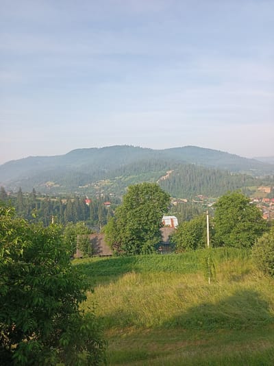 This is a panoramic photograph taken from an elevated viewpoint overlooking a village nestled in a valley. The sky is a pale, hazy blue with faint wispy clouds. In the foreground, tall green grass is illuminated by sunlight, casting shadows. On the left, the foliage of a large tree with dark green leaves dominates the frame.
Further into the scene, a small cluster of houses with dark roofs is visible amidst a dense forest of evergreen trees. The village extends into the mid-ground, with more buildings scattered among the trees and on the gentle slopes of the surrounding hills. The hills in the background are covered in a carpet of green trees, with a faint haze obscuring the distant peaks. The overall impression is of a serene, rural landscape, likely in a mountainous region. This scene is characteristic of the town of Slavsko, Ukraine, known for its picturesque Carpathian mountain scenery and numerous forests.