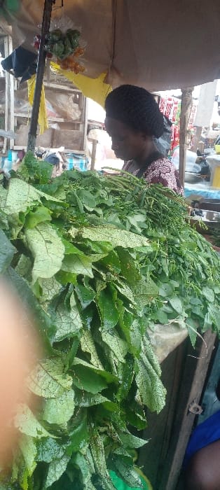This image captures an open-air market stall in Ilogbo Eremi, Nigeria. The central subject is a woman, observed in profile, facing right and looking downward. She wears a dark, possibly crocheted or woven head covering and a patterned garment featuring red, brown, and white tones. She appears to be attending to the goods displayed before her.
In the foreground, a significant pile of fresh green leafy vegetables, some appearing wet, occupies the left and central lower portions of the frame. Bundles of slender green items, possibly long beans or similar vegetables, are visible amidst the leafy greens on the right side of the pile. These items rest on a wooden surface, likely a market stall table.
Above and behind the woman, a light-colored canvas or umbrella canopy provides shade. A metal or wooden pole extends vertically near the left edge of the frame, from which clear plastic bags containing produce are suspended: one bag holds green items, another contains orange-yellow items. The background reveals a bustling market environment with various rudimentary stall structures constructed from wood and possibly tarpaulin, indicating other vendors and market activity. No direct interaction between the visible woman and other individuals is depicted; her focus is on her merchandise. The overall scene suggests a typical daytime local market setting.