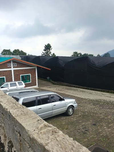 A brick building with a green and orange trim stands next to a row of dark greenhouses. Cars are parked on a paved driveway in front of the building. The sky is overcast and gray. A concrete wall is in the foreground, partially obstructing the view.