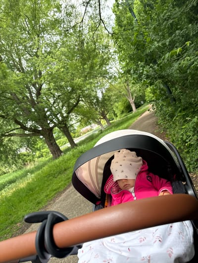 A baby is sleeping in a stroller on a paved path surrounded by grass and trees. The baby is wearing a pink jacket and a light-colored hat with a floral pattern. The stroller has a white and black frame. A person's arms are visible in the foreground, holding the stroller's handles. The location is likely a park or green space in Veghel, Netherlands, suggested by the vegetation.