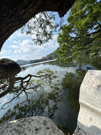 The image depicts a view of Kandy Lake in Kandy, Sri Lanka, framed by natural elements. The camera is positioned at an unusual angle, capturing the reflection in the water as the primary focal point.

The water reflects trees and the sky. Branches and foliage extend into the frame from both sides, adding to the natural framing. The perspective is oriented as if a viewer is lying down, looking up. The trees appear normal while other images are reflected in the water.

To the right of the image, there are large, gray rocks.